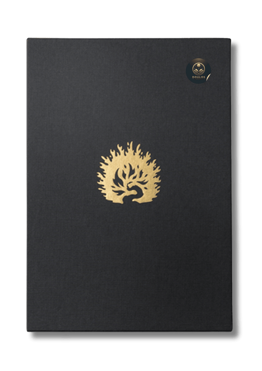 Biblia de Estudio de La Reforma LBLA - La Biblia de las Américas