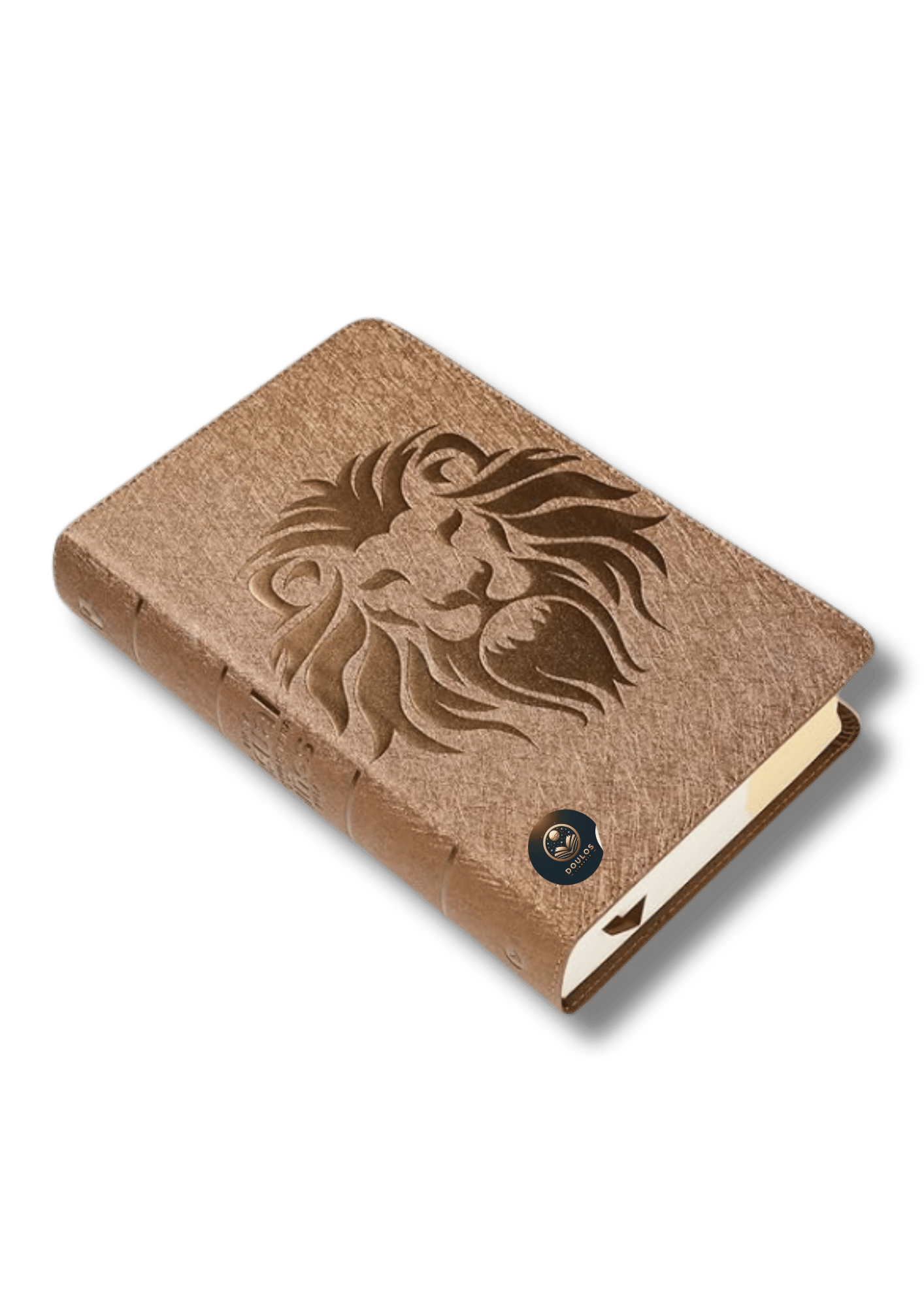 Biblia Visual de Estudio para Niños Jóvenes