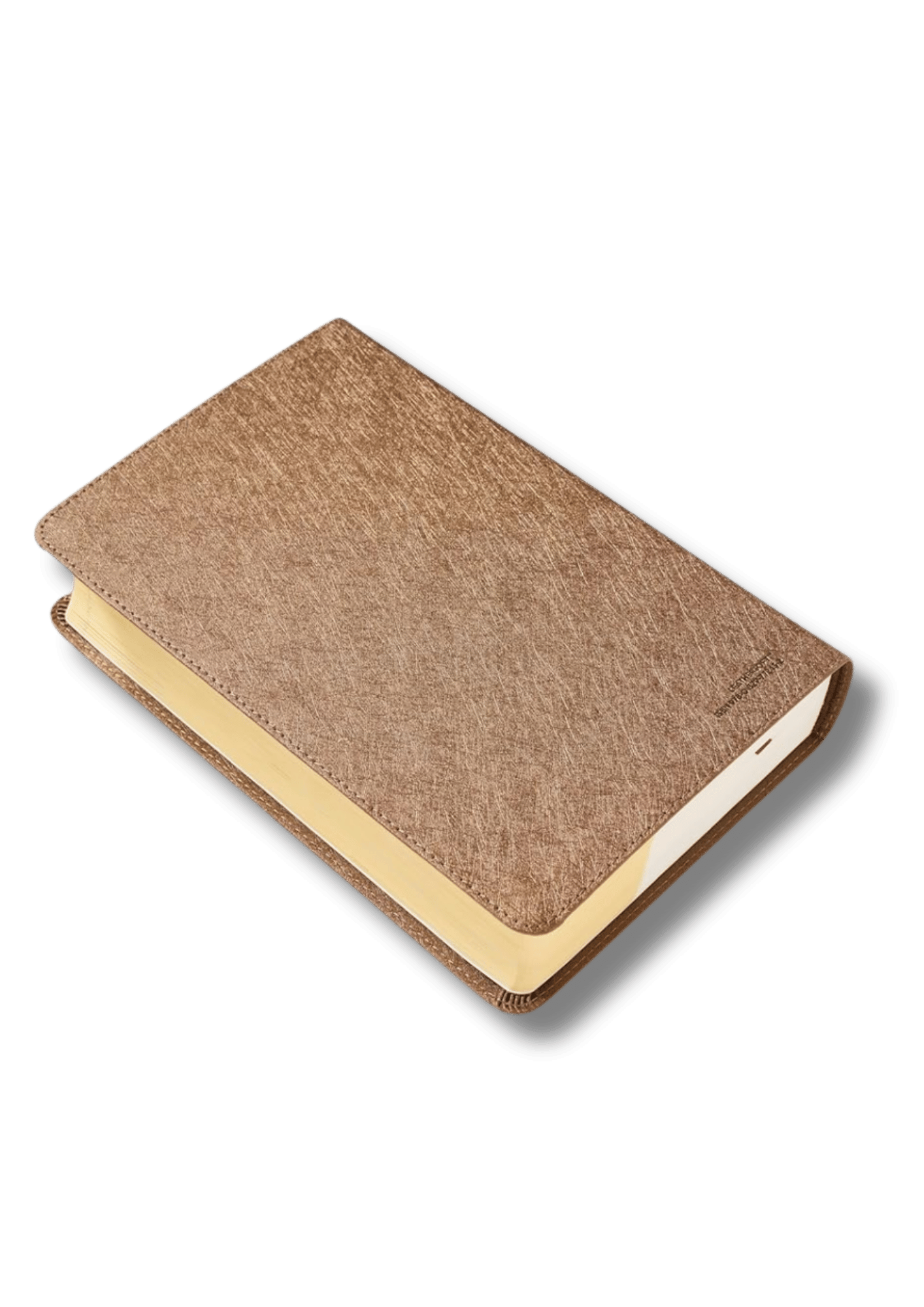 Biblia Visual de Estudio para Niños Jóvenes