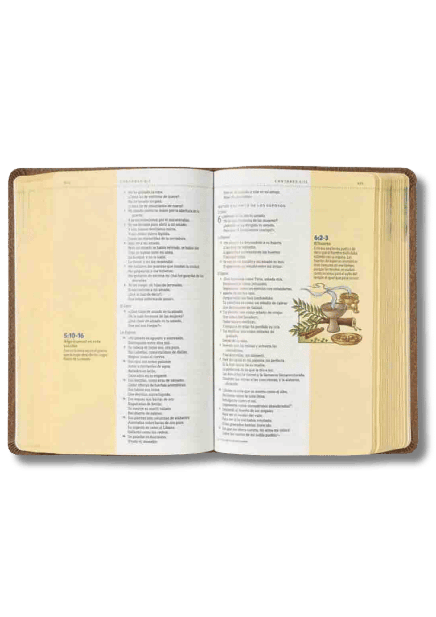 Biblia Visual de Estudio para Niños Jóvenes