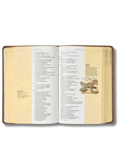 Biblia Visual de Estudio para Niños Jóvenes