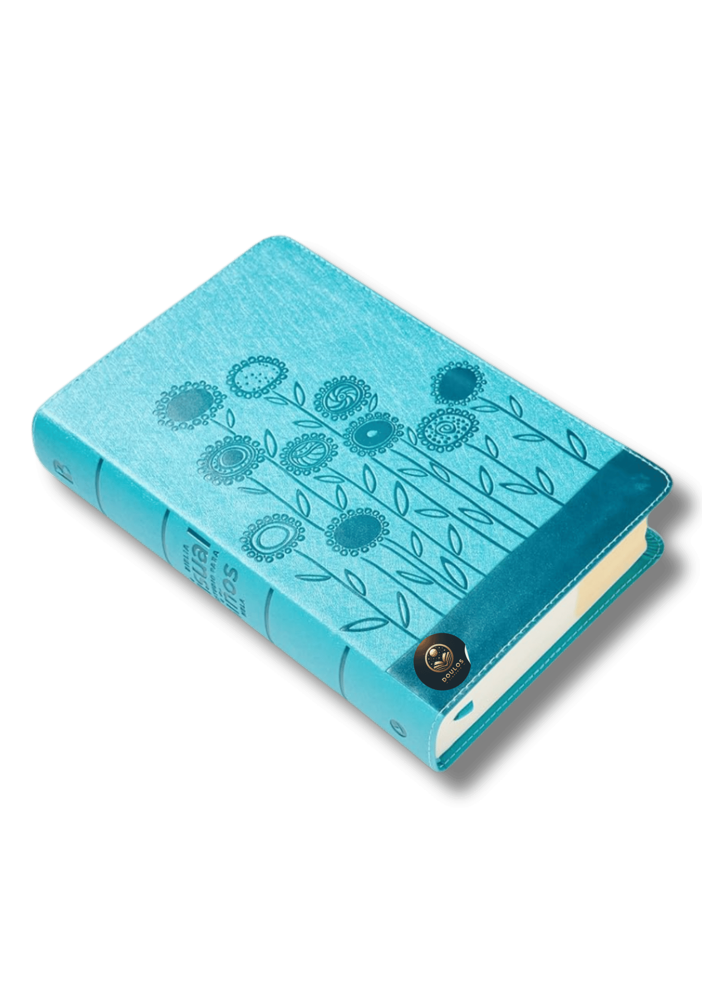 Biblia Visual de Estudio para Niñas Jóvenes