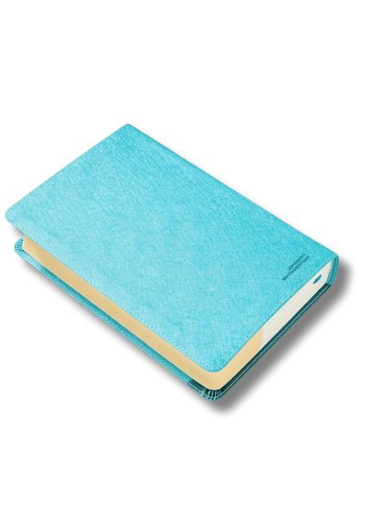 Biblia Visual de Estudio para Niñas Jóvenes