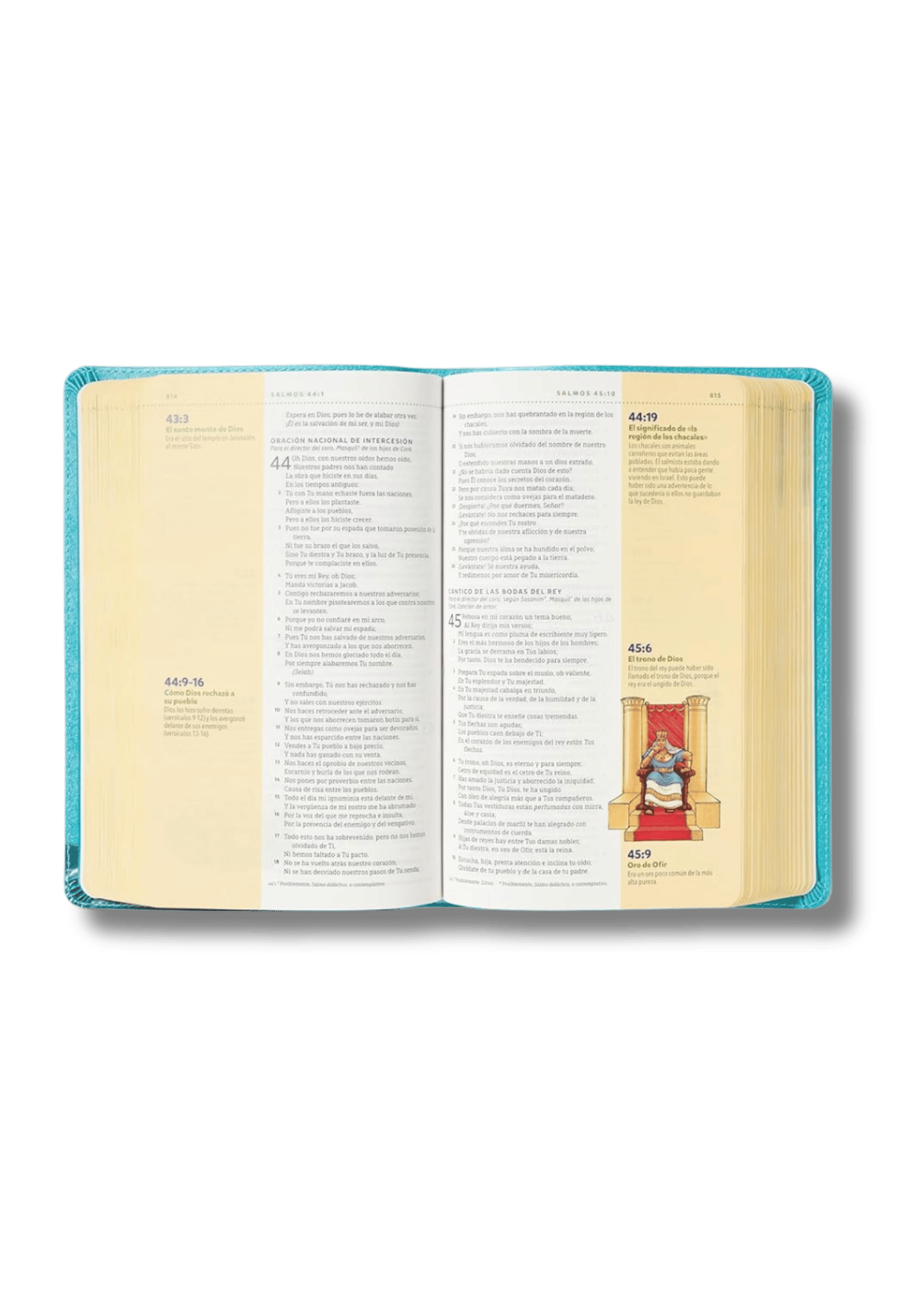 Biblia Visual de Estudio para Niñas Jóvenes