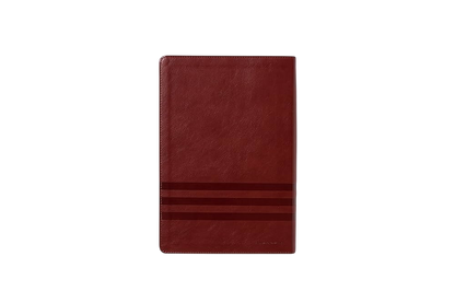 Biblia de Estudio Teología Bíblica NVI