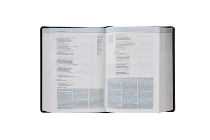 Biblia de Estudio Teología Bíblica NVI